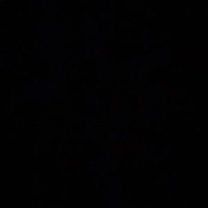 Meet your Posher, Leshna